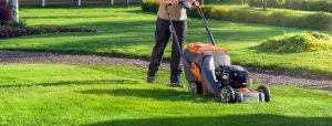 Peterborough Lawnmowers