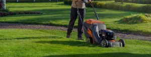 Peterborough Lawnmowers