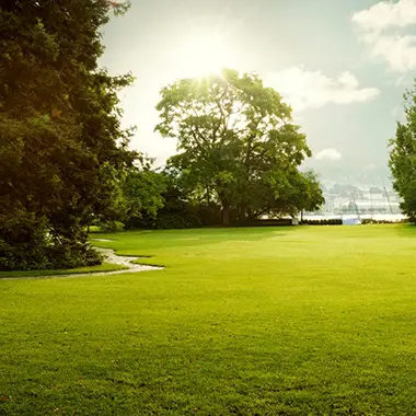 Park View